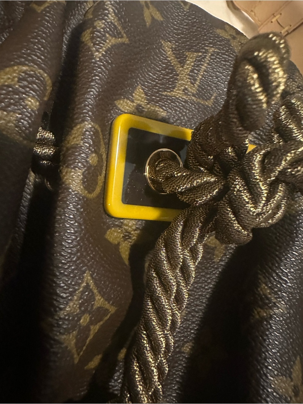 Mint Condition - Authentic 2009 LV Limited Edition PM Kalahari - Picture 17 of 17